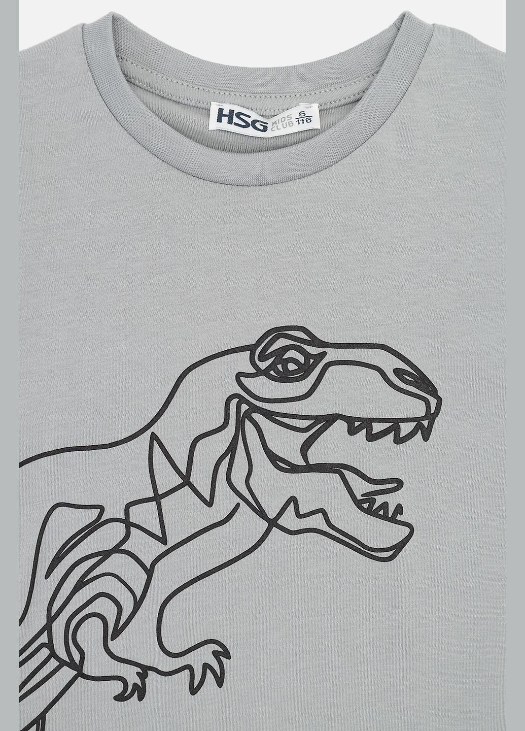 Сіра літня футболка з коротким рукавом для хлопчика колір сірий цб-00273660 HSG kids club
