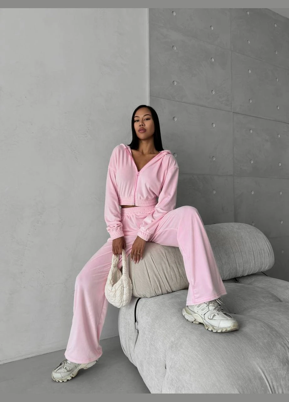 Жіночий велюровий костюм Fashion (305328202)