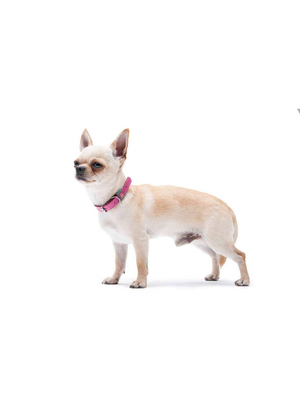 Нашийник для собак шкіряний Classic Ш 12 мм Дл 19-25 см Рожевий WAUDOG (322327997)