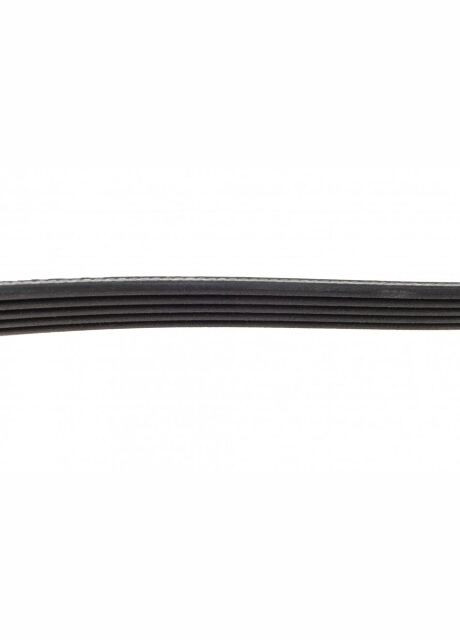 Ремень поликлин. (пр-во ) 5PK1450 C.I.U Dayco (345773998)
