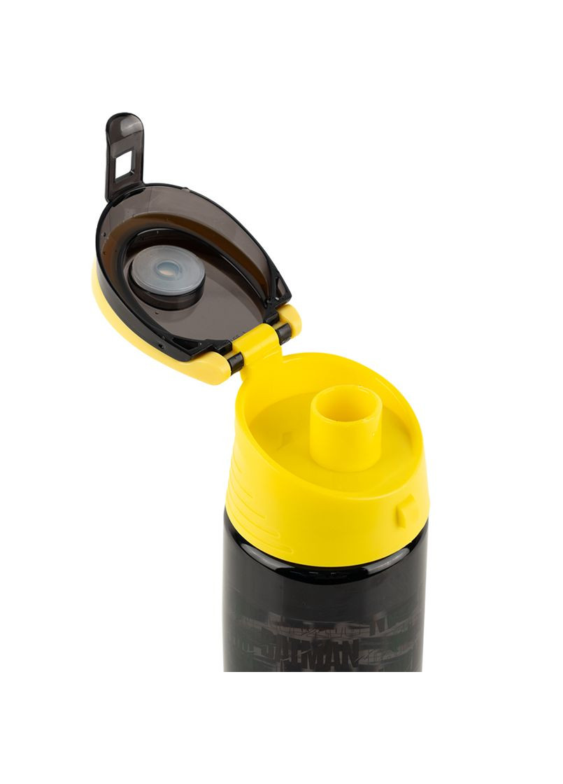 Бутылка для воды 550 мл DC Kite (337170500)