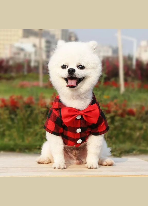 Сорочка для собак у клітку з метеликом червона M No Brand (299840358)