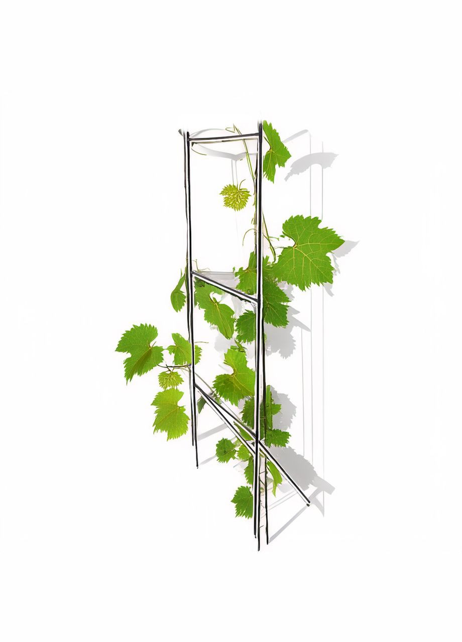 Висока шпалера для винограду Grappa металева розбірна одноплощинна H=2,83 м Metaplant (346531039)