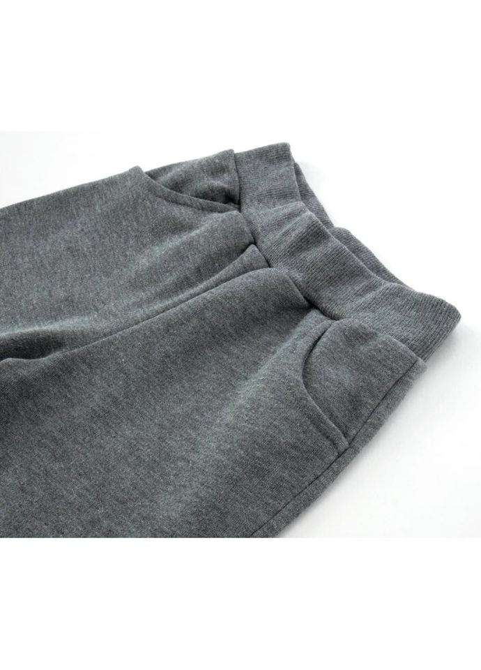 Спортивный костюм на манжетах (18372-116B-gray) Breeze (300857027)