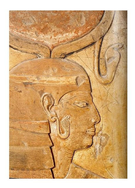 Книга King Tut. The Journey через Underworld (9783836571463) Taschen (364654340)