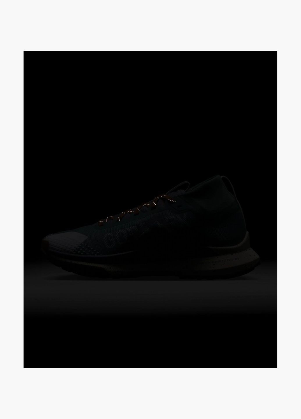 Кроссовки женские Pegasus Trail 4 Gore-Tex Waterproof Trail Running Shoes Green HF5027-361 Nike зелёные (335012202)