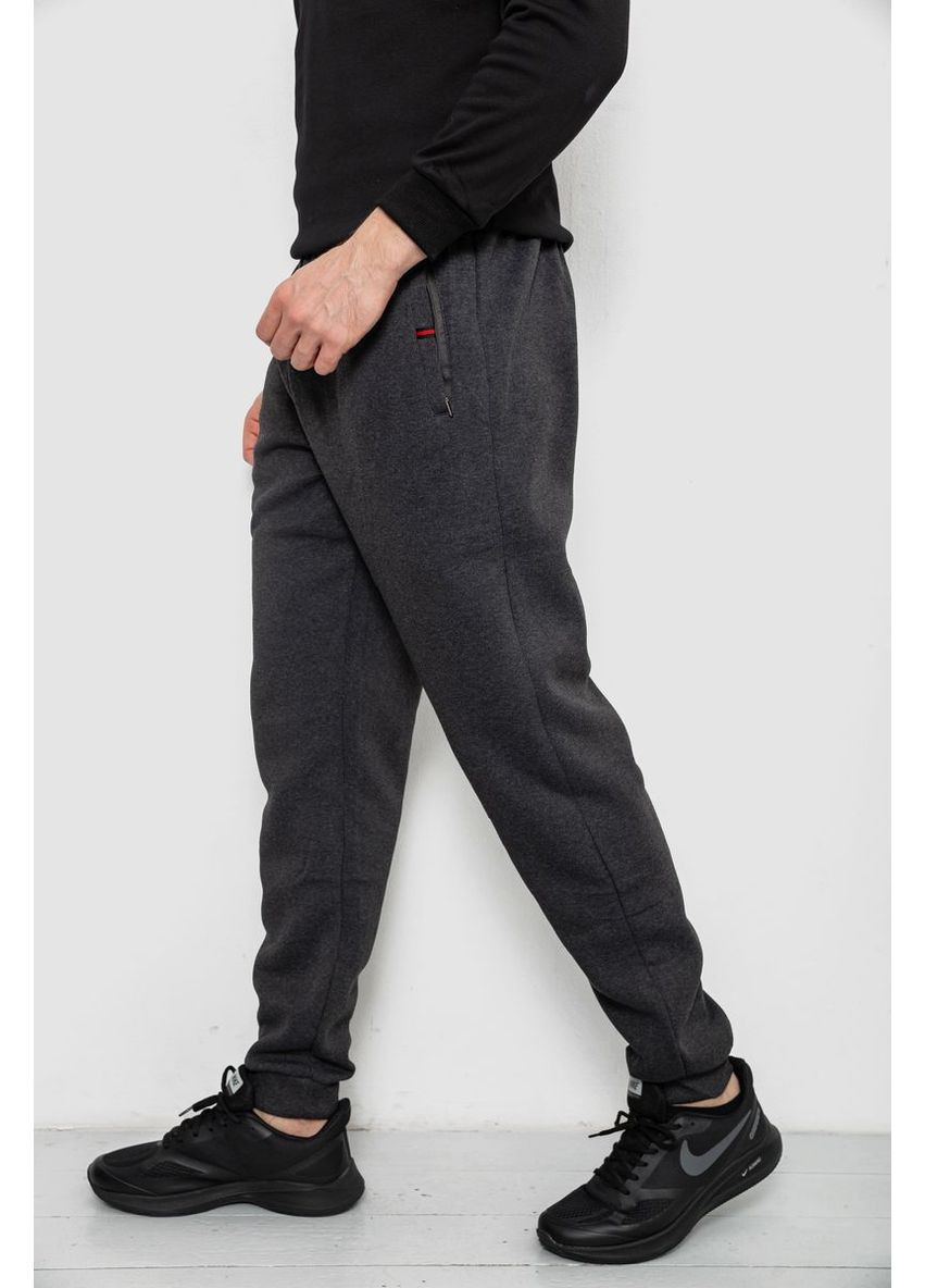 Спортивні штани чоловічі на флісі Sport Line (367262065)