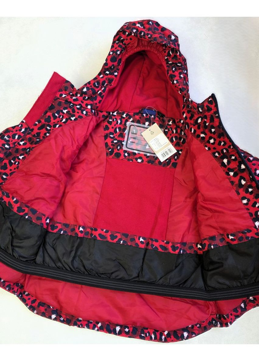 Детский лыжный термокостюм THERMOLITE для девочек Lupilu Куртка та Напівкомбінезон (348518509)