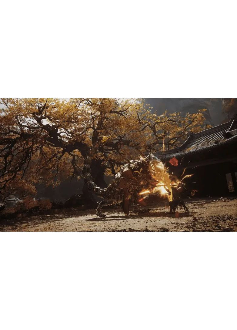 Гра консольна PS5 Black Myth: Wukong, BD диск Sony (362731896)