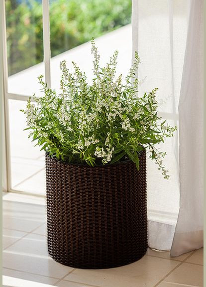 Горщик для квітів 39 л. Cylinder Planter Large, коричневий Keter (329408124)