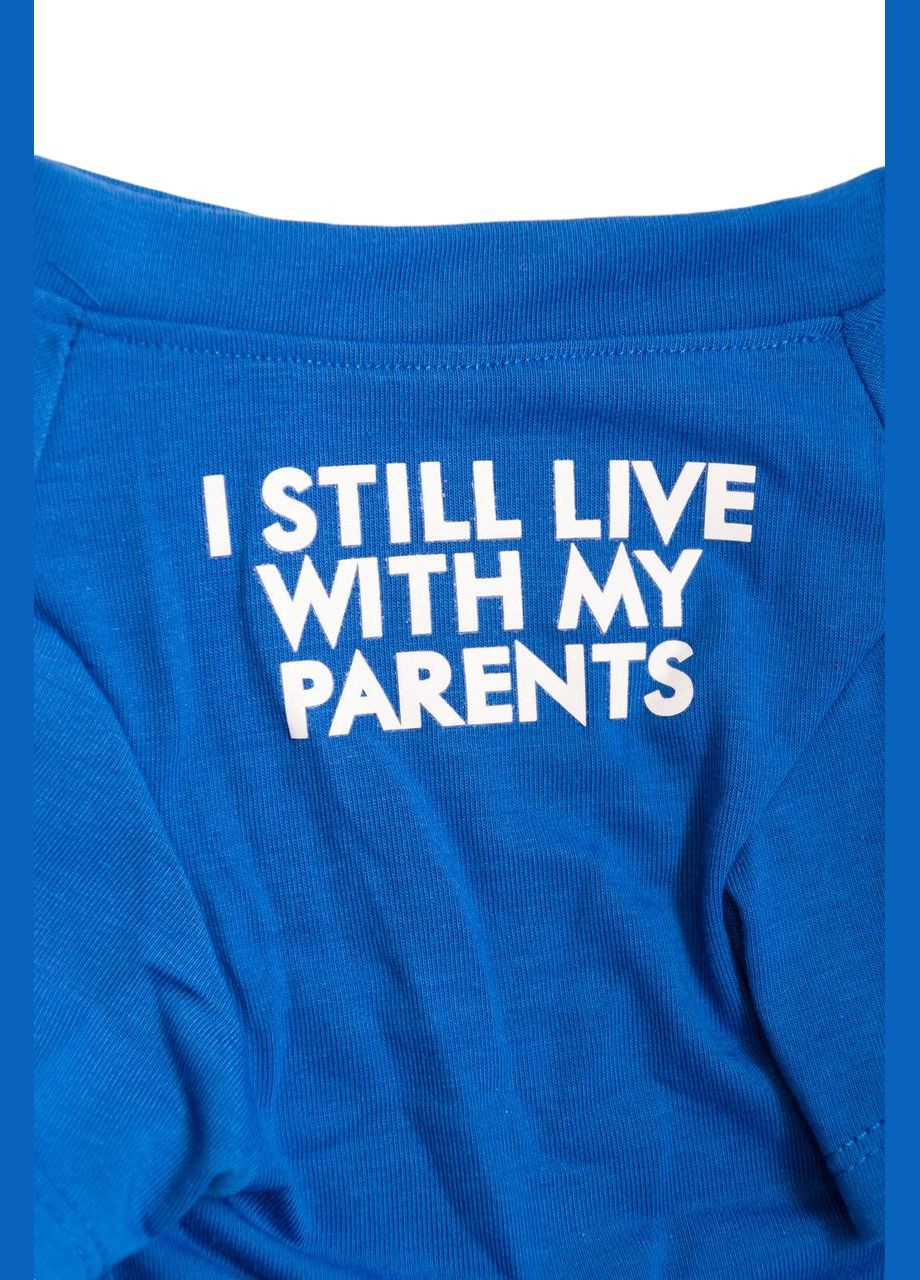 Футболка для котів Pet Style "I steel" Синя M No Brand - (323236423)