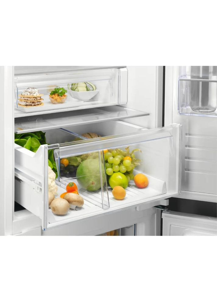 Вбудований холодильник RNT6TE19S0 Electrolux (326519434)