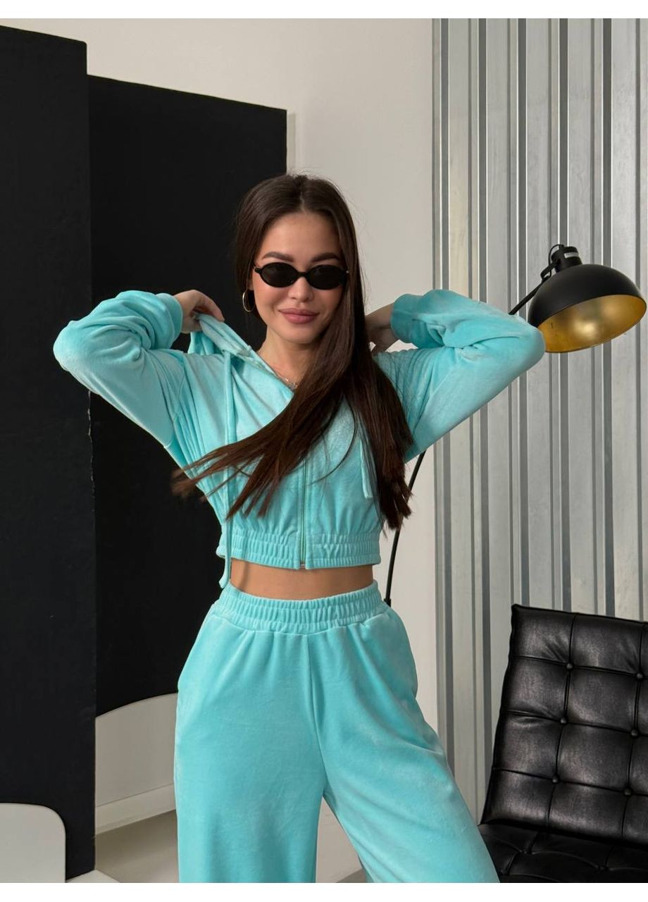 Жіночий велюровий спортивний костюм FINO Mode (354343962)