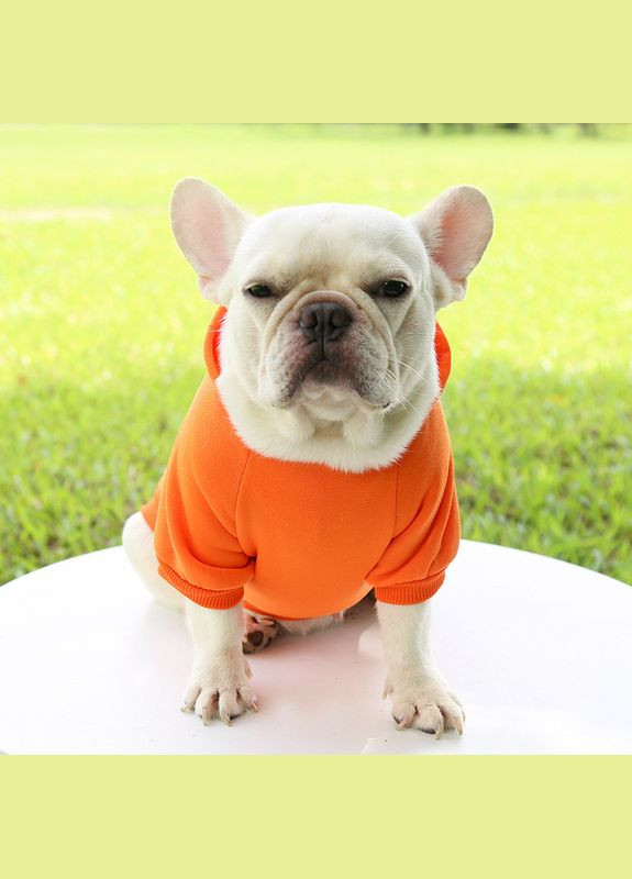 Толстовка з кишенею для котів Pet Style "Однотон" Помаранчева L No Brand - (323233756)