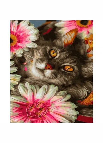 Картина по номерам "Кот в цветах" 40х50 см Rainbow Art (318019802)