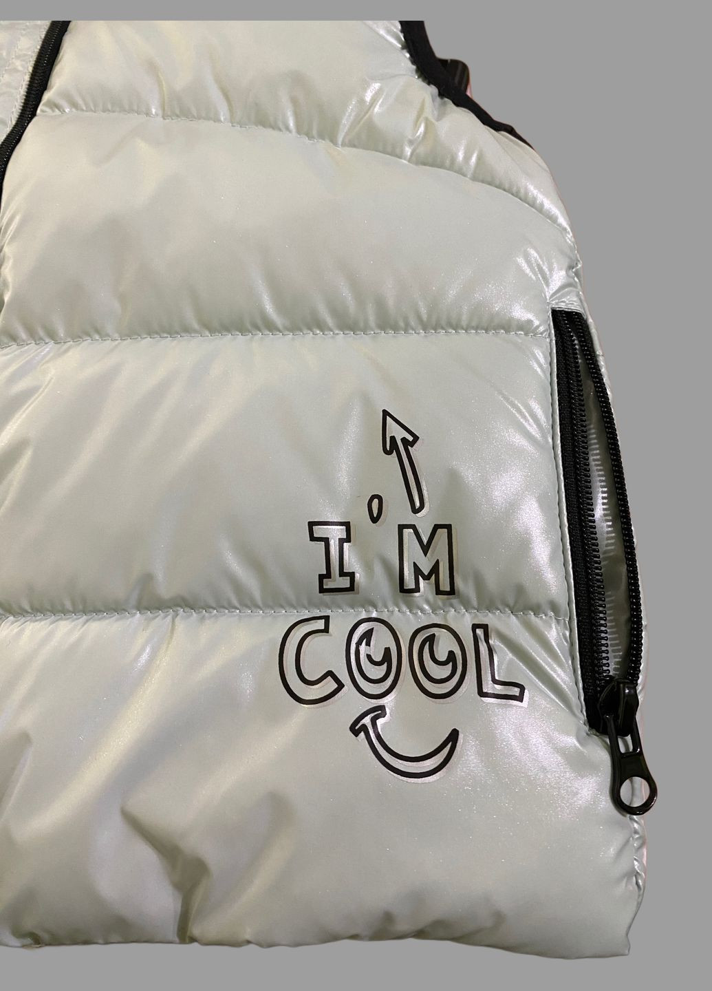 Жилетка для дівчинки сіро блакитна Evolution (327825879)