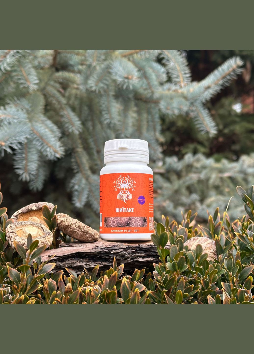 Шиитаке, экстракт 10:1, капсулы 60 шт по 0.5 г Лісовик (334292940)