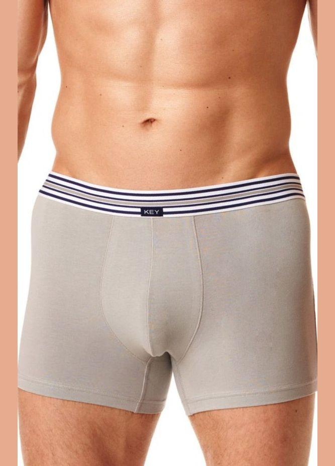 Мужские трусы шорты SZORTY MXH-273 B22 SZ р. Key Боксери (301363089)