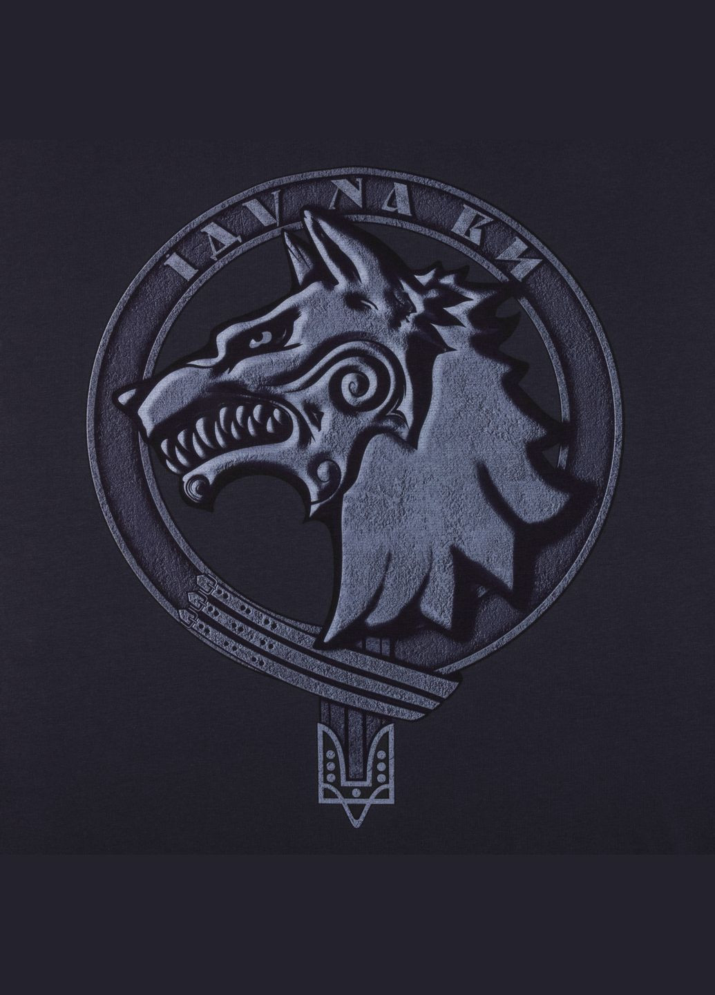 Футболка з малюнком ССО - Сили спеціальних операцій Blue Graphite P1G (315822759)