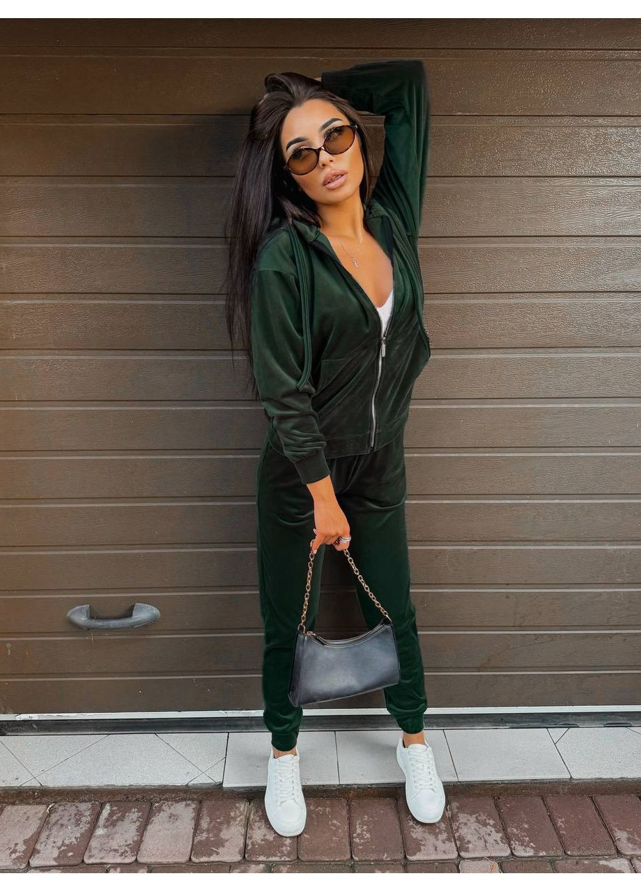 Велюровий костюм Fashion (357124062)