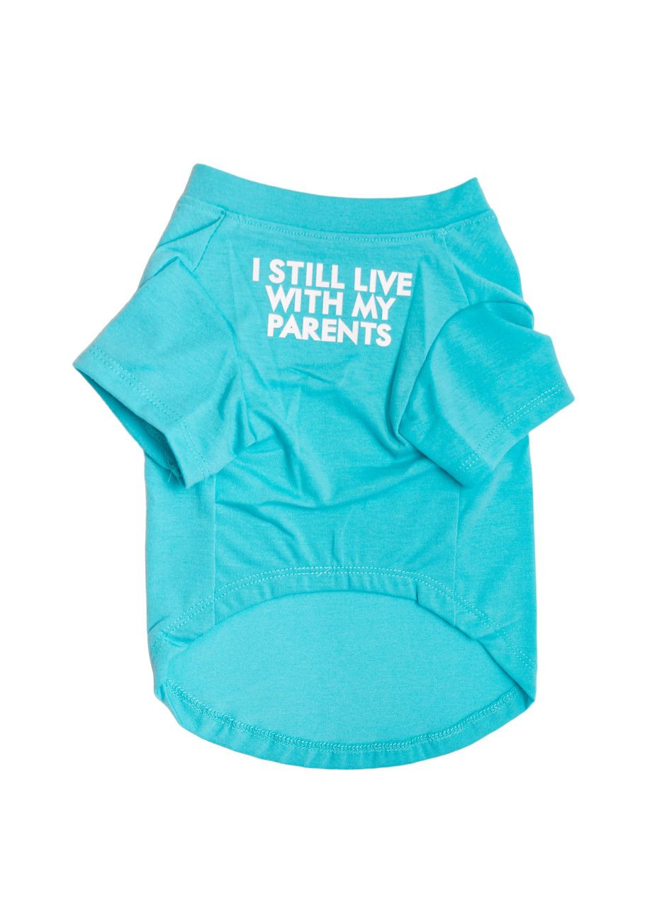 Футболка для котов и кошек Pet Style "I steel" Голубая XL No Brand - (323235933)