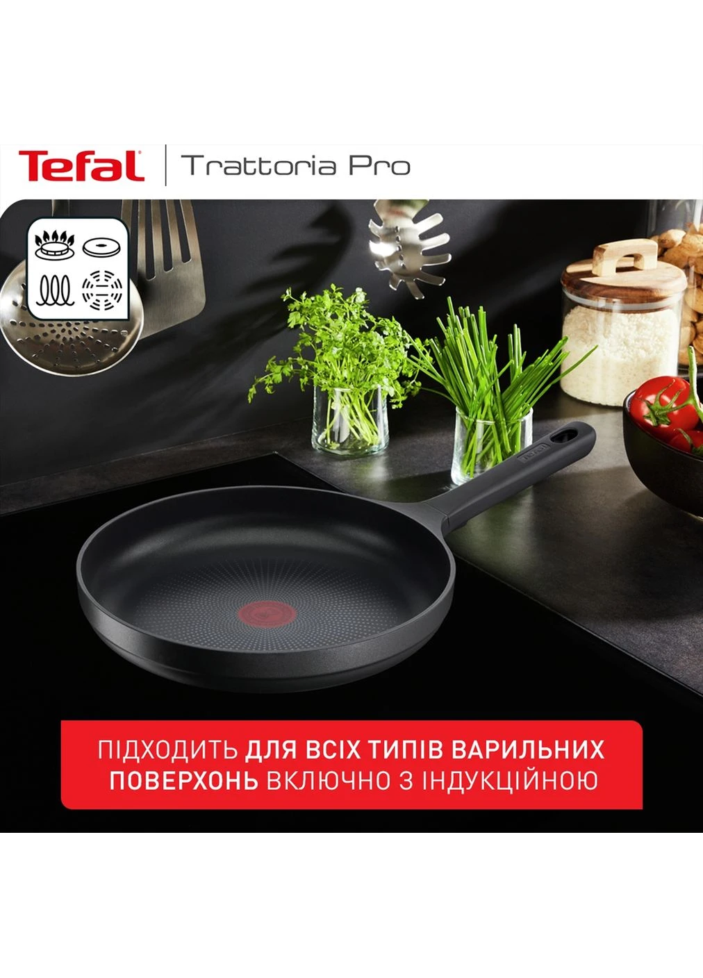 Сковорода Trattoria Pro 24 см (G6120444) Tefal (402839644)