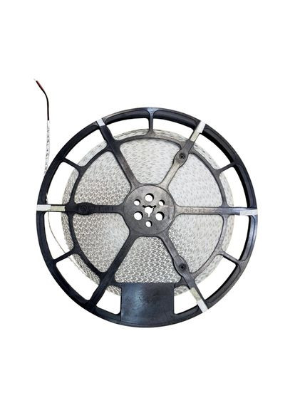 Светодиодная лента OEM ST-50-12-2835-120-NW-20 (50м) нейтральная белая, негерметичная, 1м BIOM (370253465)