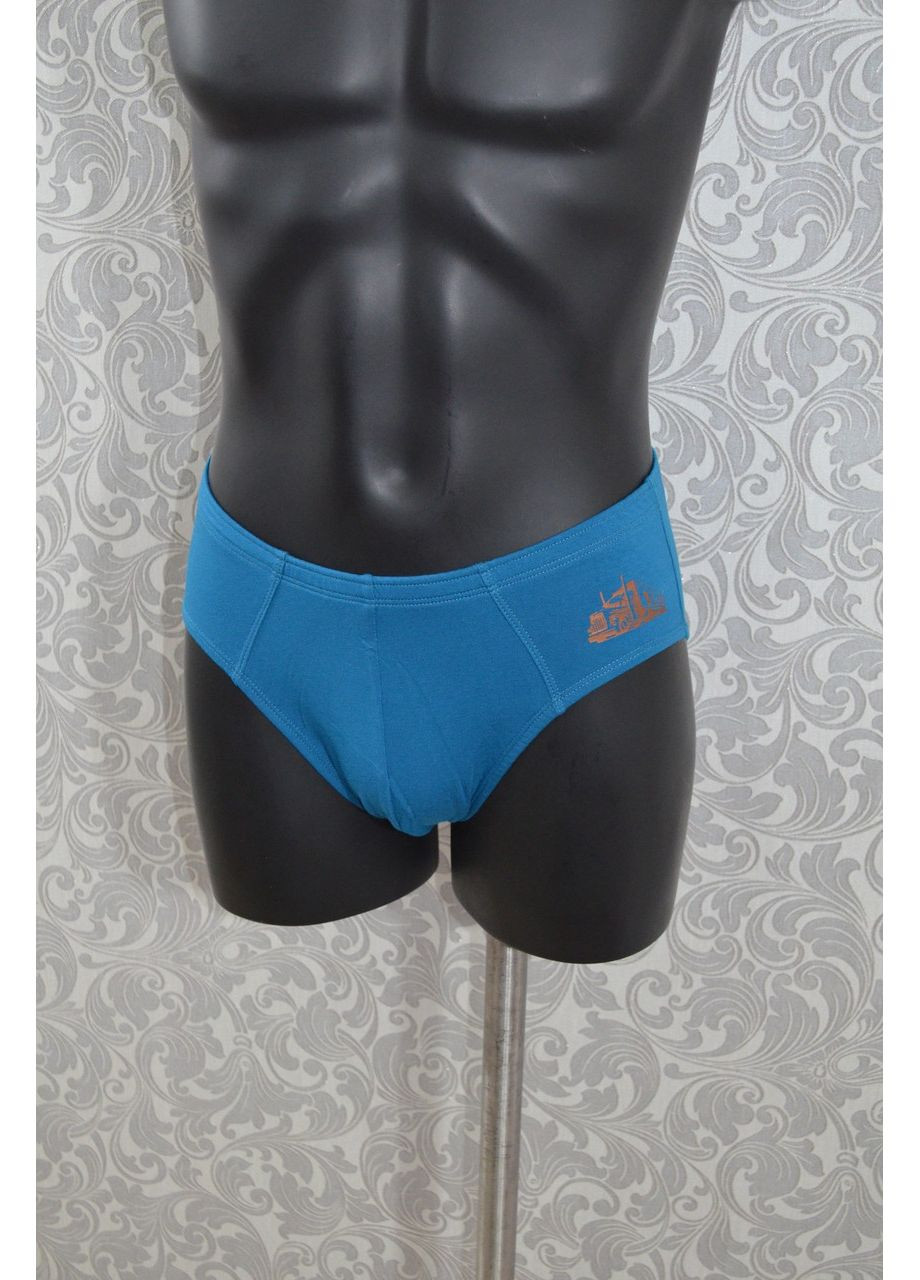 Труси чоловічі Класика 02/024 LANS (373273683)