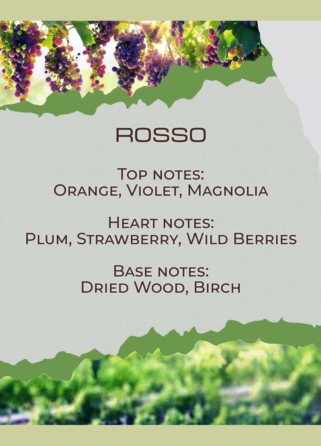 Диффузор (бархатный аромат спелого красного винограда и сочных ягод) BY VELCHEVA ROSSO (333032155)