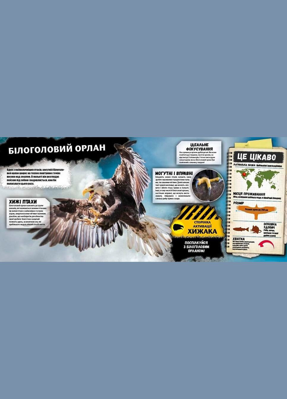 Хищники. 2 сорт (приложение не работает) No Brand (330634173)