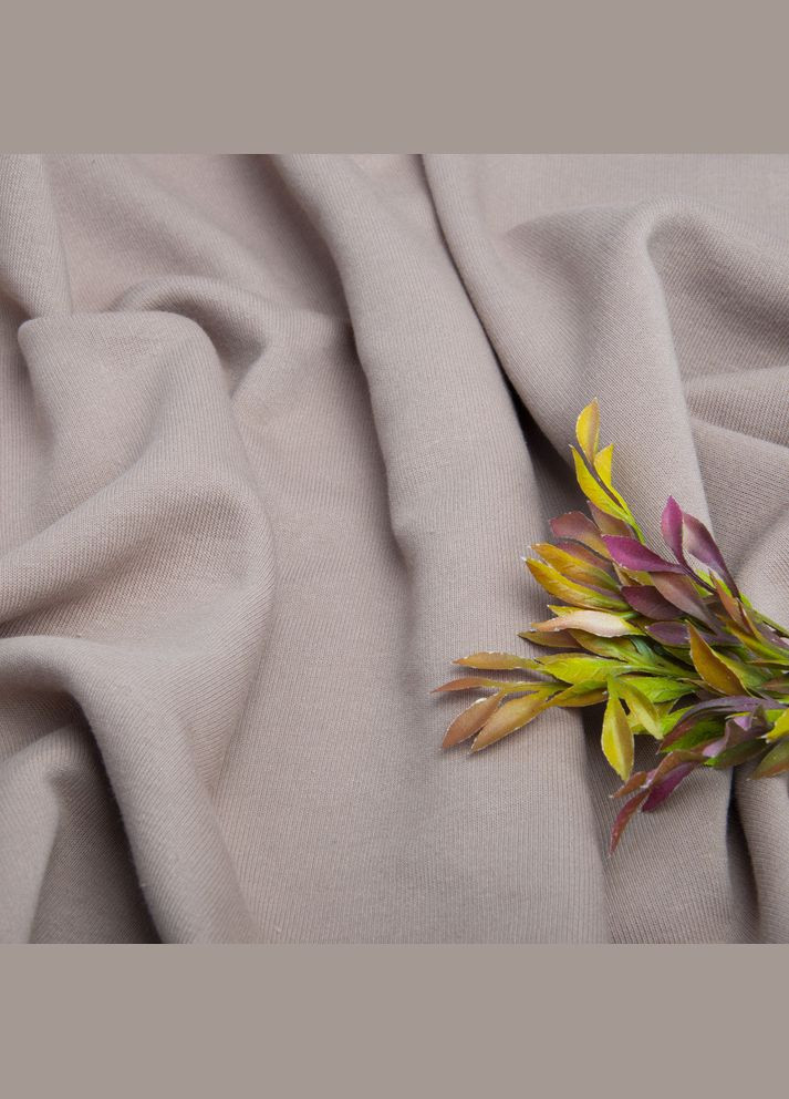 Тканина трикотаж трьохнитка петля Сезон капучино беж тепла для спортивного одягу IDEIA (289552673)