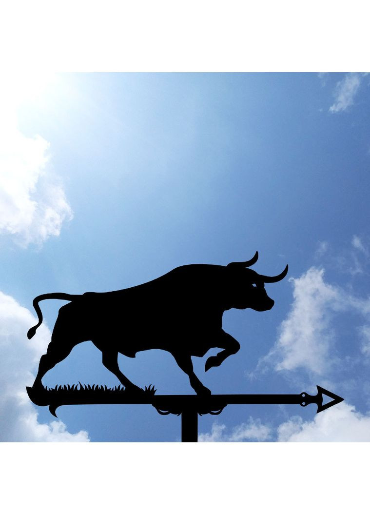 Флюгер на дом Бык, флюгер на крышу из металла 2 мм. No Brand (368896706)
