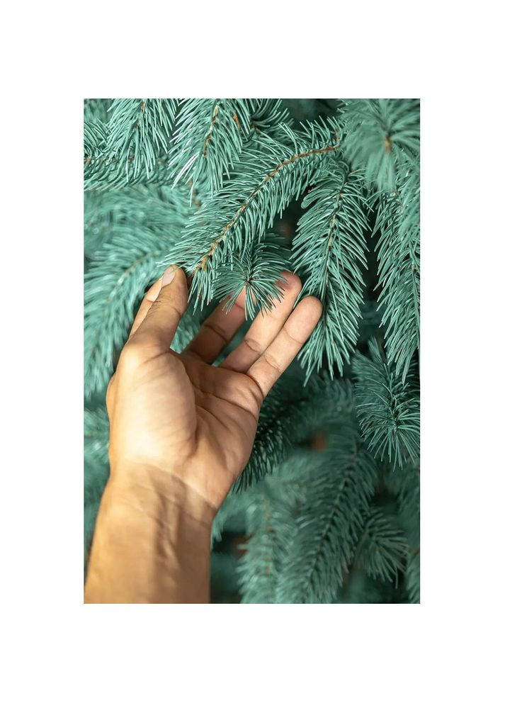 Новогодняя елка искусственная литая Bukovel 250 см Голубая 4829221110253 Siga Group (317307837)