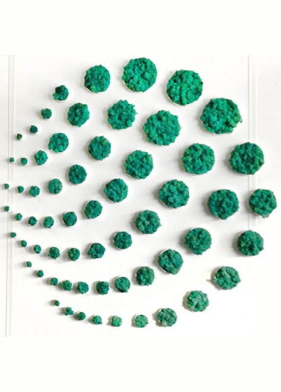 Очищенный стабилизированный мох ягель Изумрудный 100 грамм Nordic moss (276401224)