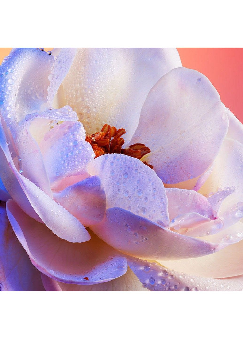 Idylle Парфюмерная вода женская, 75 мл Guerlain (296009797)