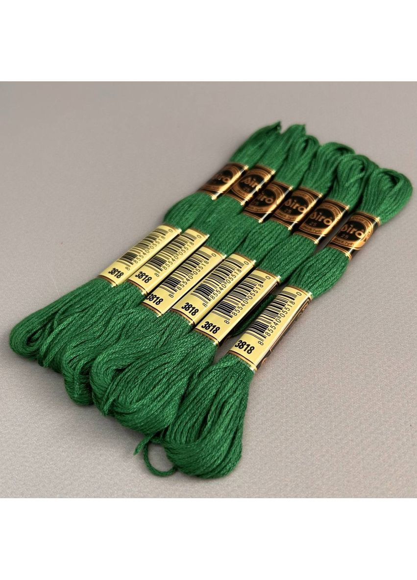 (6 шт по 8м) Набір муліне Airo (нитки для вишивання) - зелений #3818 Plus-plus (353393285)