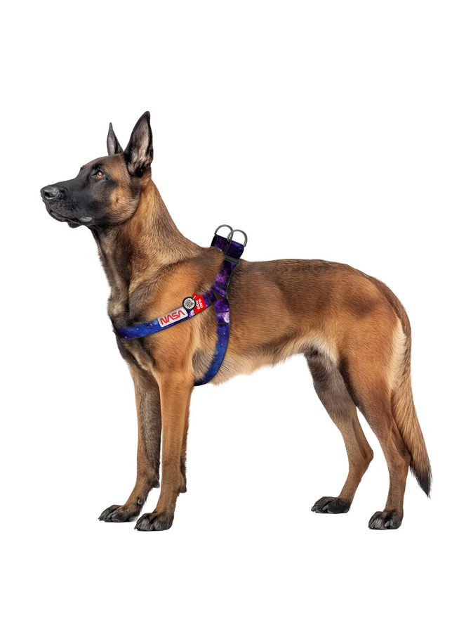 Шлея для собак WAUDOG Nylon з QR паспортом, малюнок "NASA21", пластиковий фастекс,, Ш 35 мм, А=В 70-100 см No Brand (363201337)