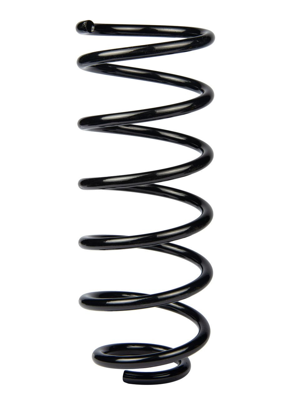 Пружина задня Hyundai Getz, Хюндай Гетц 02-09 #SR212TP UADSXAY22 Raiso (361231656)