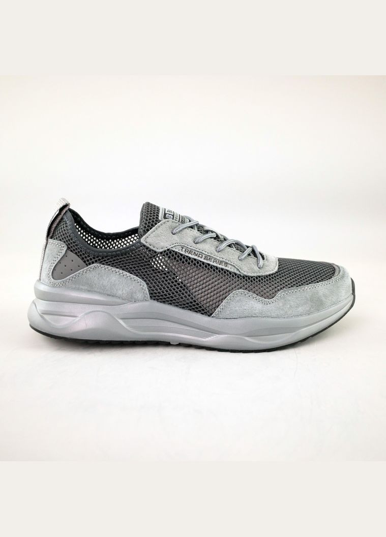 Сірі кросівки чоловічі сітка Baas