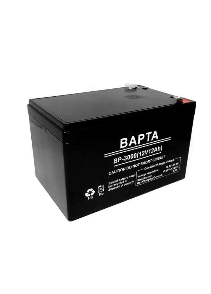 Свинцово-кислотный аккумулятор Варта BP-3000 аккумуляторная батарея для бесперебойника 12В 12.0Ач Черный Varta (353689347)