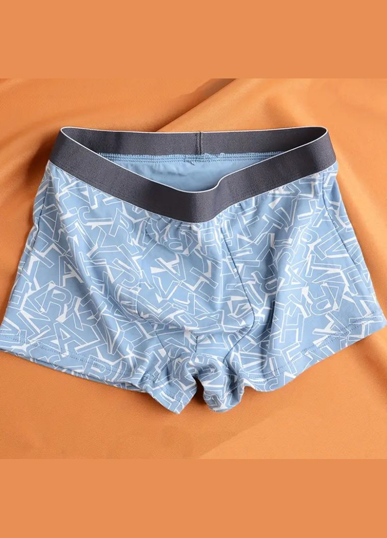 Труси чоловічі Боксерки XL 3 шт. No Brand (303725261)