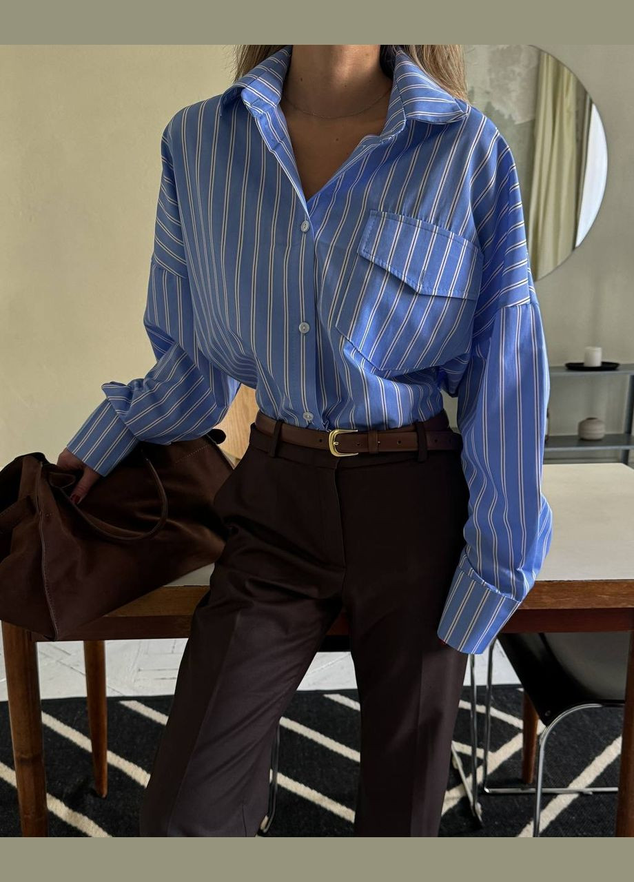 Голубой повседневный рубашка в полоску Україна с длинным рукавом