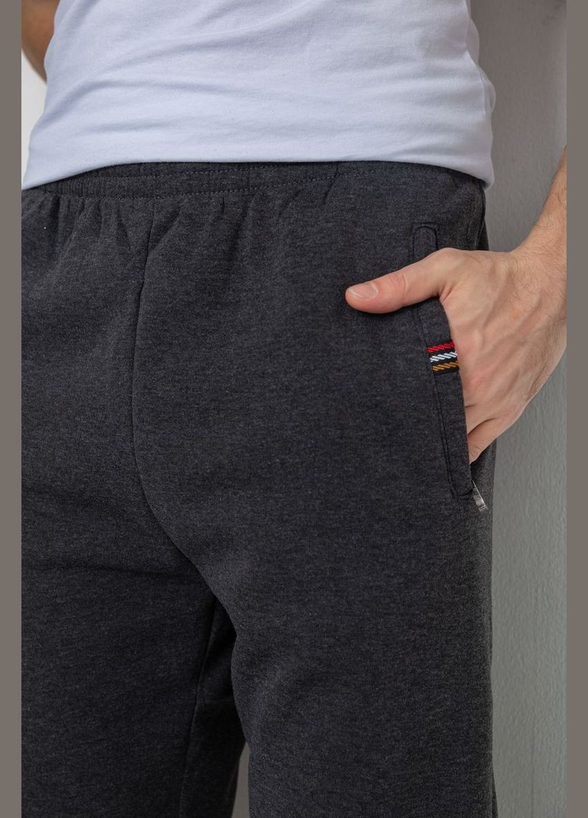Темно-серые спортивные, кэжуал зимние брюки Ager