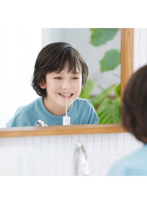 Іригатор стаціонарний, чаша 600 мл, від мережі, 4 насадки, білий Panasonic (360398744)