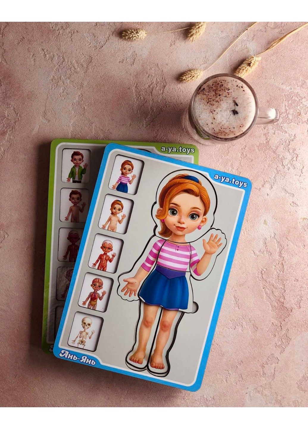 Многослойный Сортер-пазл "Анатомия человека - девочка" ПСФ 025 Ubumblebees (303133465)