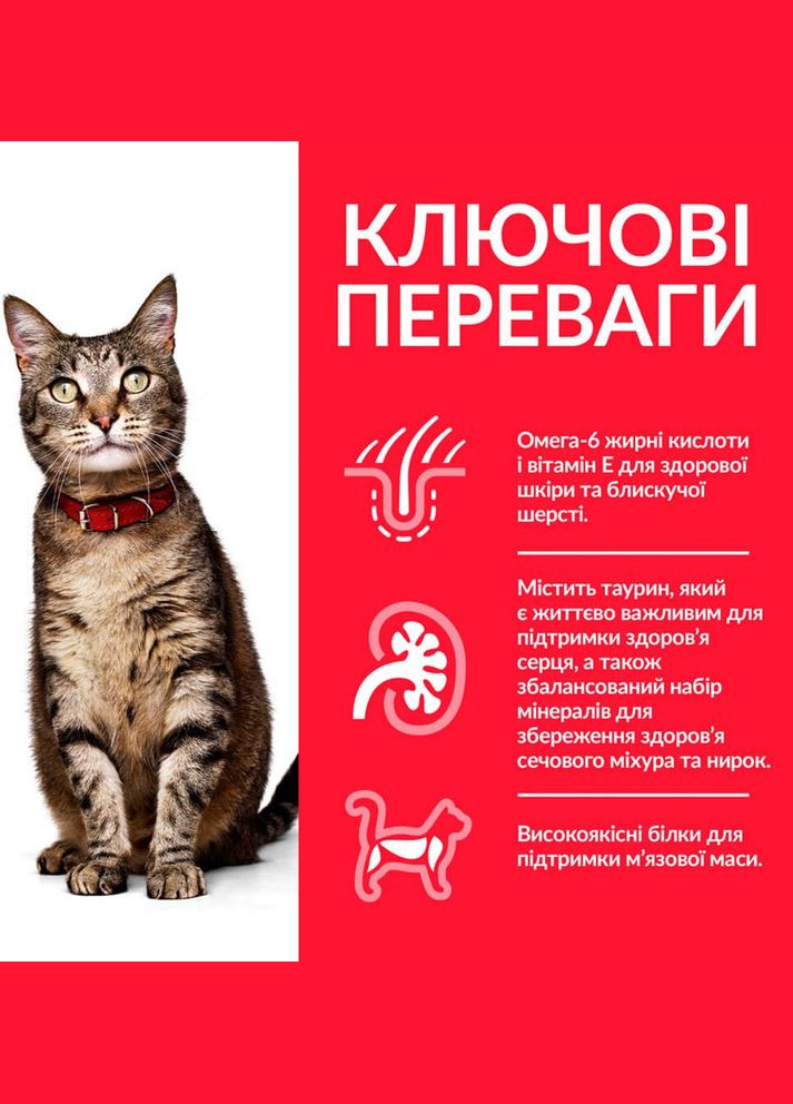 Сухий корм для дорослих кішок Science Plan Adult з тунцем 10 кг Hill's (315890629)