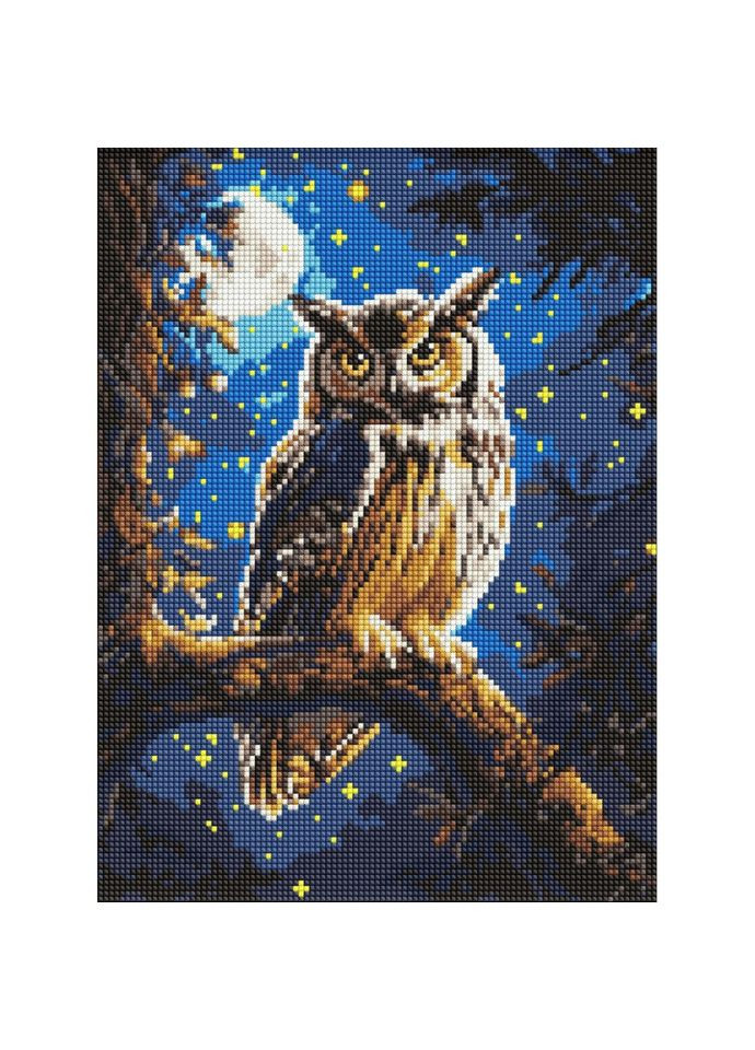 Алмазна мозаїка "Нічна сова" ©art_selena_ua AMO8160, 30x40 см IDEYKA (341083901)
