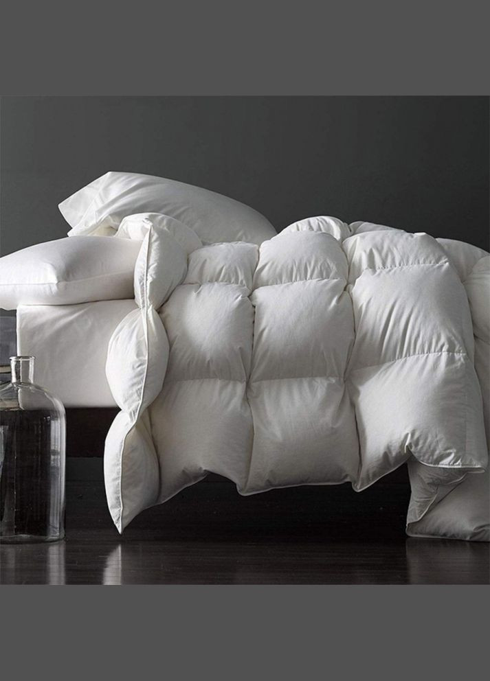 Ковдра Raffaello 053 зима+ 200x220 см 8061875 Mirson (316612993)