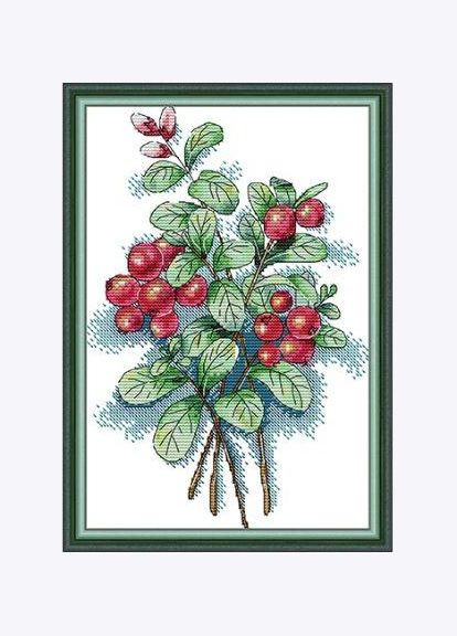Набор для вышивания по нанесённой на канву схеме "Autumn Fruits 1 ". AIDA 14CT printed 21*31 см Joy Sunday (313614292)