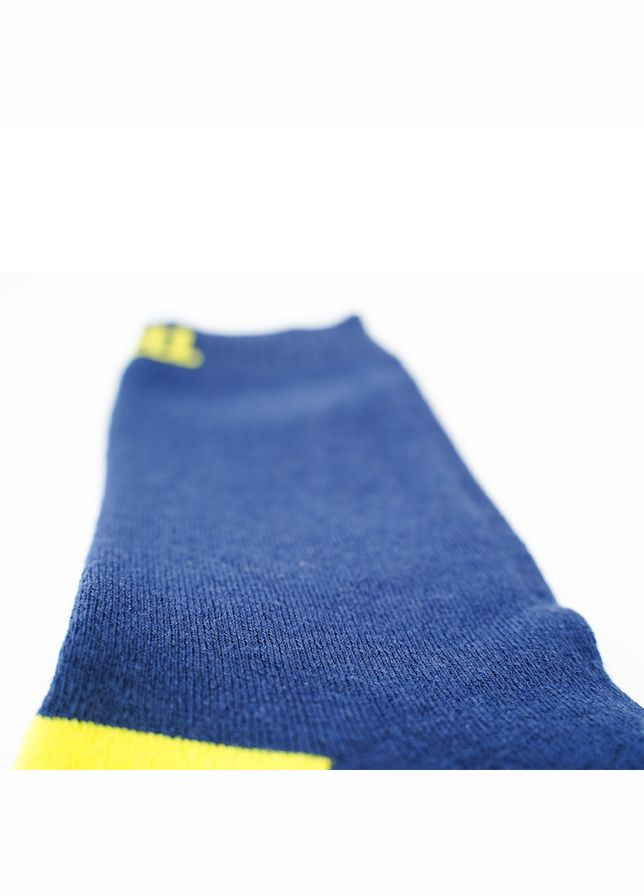 Шкарпетки водонепроникні Ultra Thin Crew NL, p-p, сині DexShell (353503212)